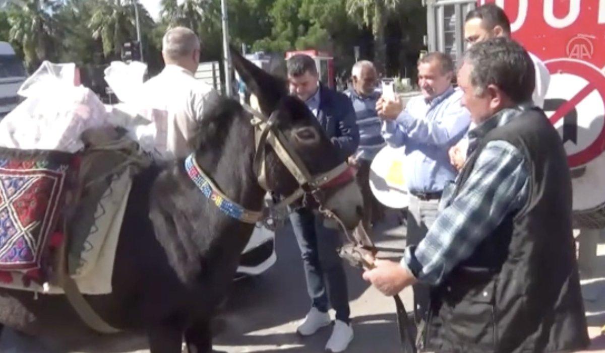 Güreş ağası, 1 milyon 17 bin TL ağalık parasını katırla getirdi