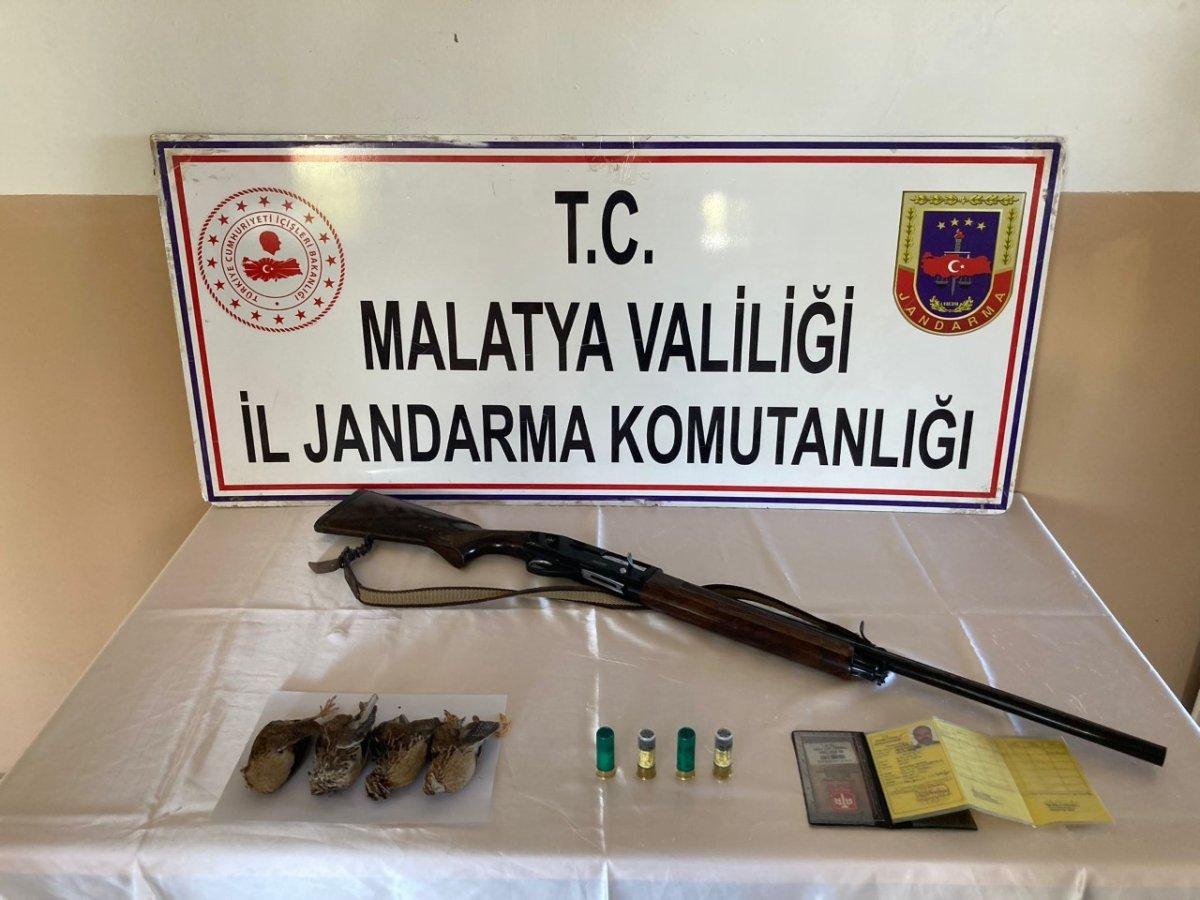 Malatya'da bıldırcın avı pahalıya patladı: 5 bin 695 TL ceza
