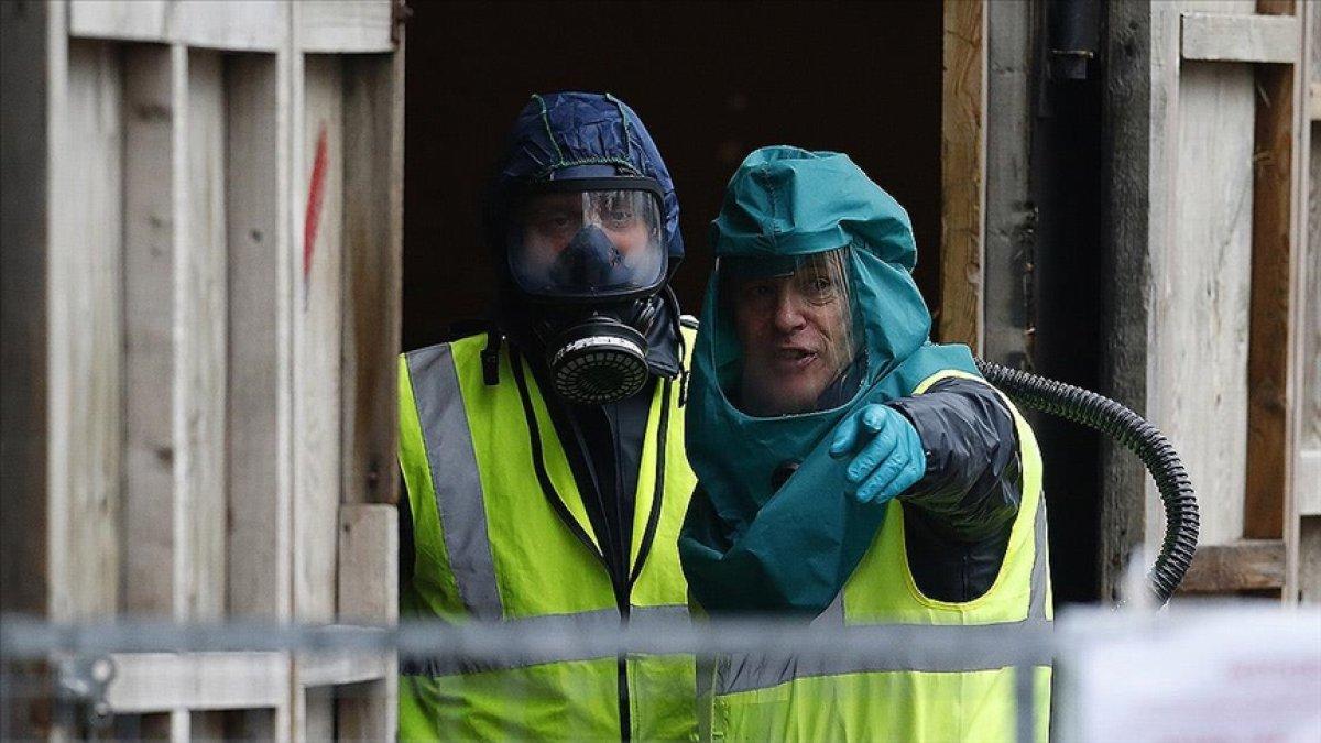 İspanya'da ilk, Avrupa'da ikinci vaka: İnsanda kuş gribi tespit edildi