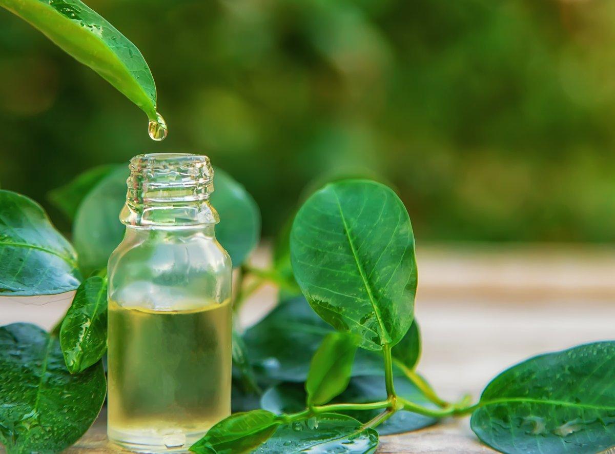 Bakterilere karşı bir kalkan olan 20 doğal antibiyotik