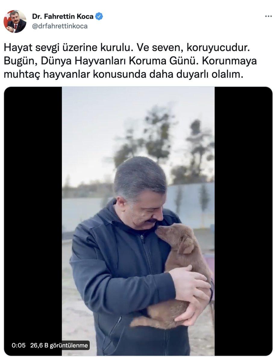 Fahrettin Koca'dan Dünya Hayvanlarını Koruma Günü paylaşımı