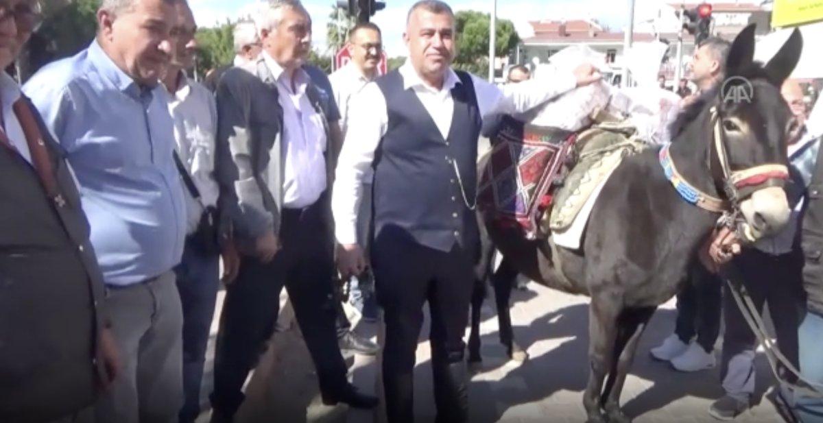 Güreş ağası, 1 milyon 17 bin TL ağalık parasını katırla getirdi