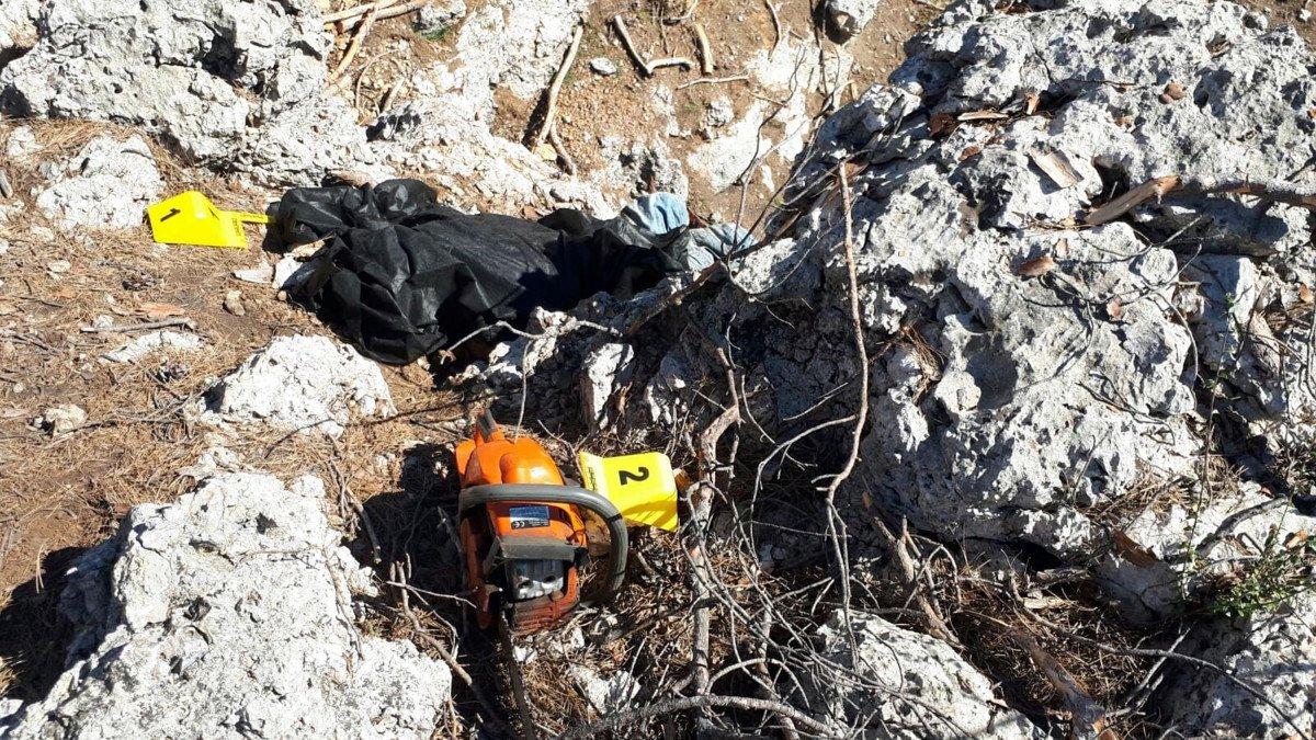 Muğla'da kestiği ağacın altında kalarak hayatını kaybetti