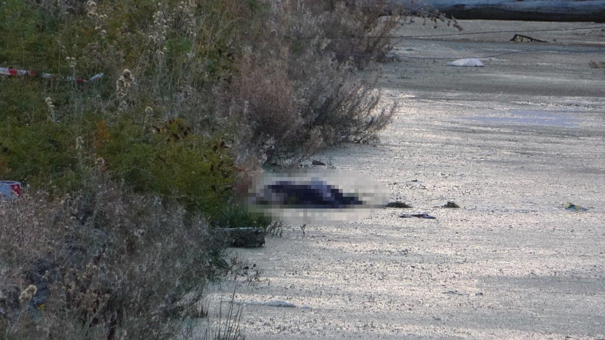 Hakkari'de 15 gündür kayıp olan kadının cansız bedenine ulaşıldı
