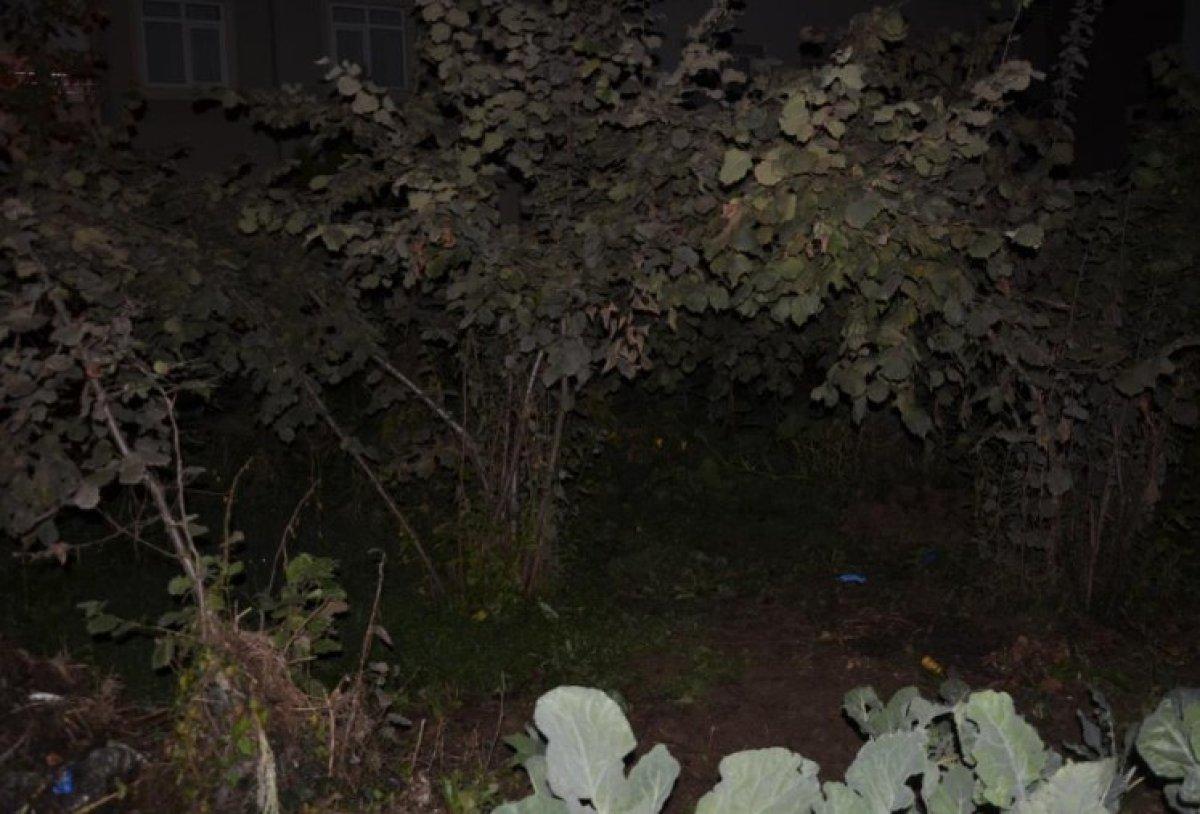 Ordu'da toprağa gömülü bebek cesedi bulundu