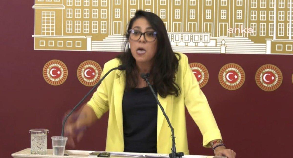 TİP'li vekil Sera Kadıgil'den Kılıçdaroğlu'na başörtüsü tepkisi