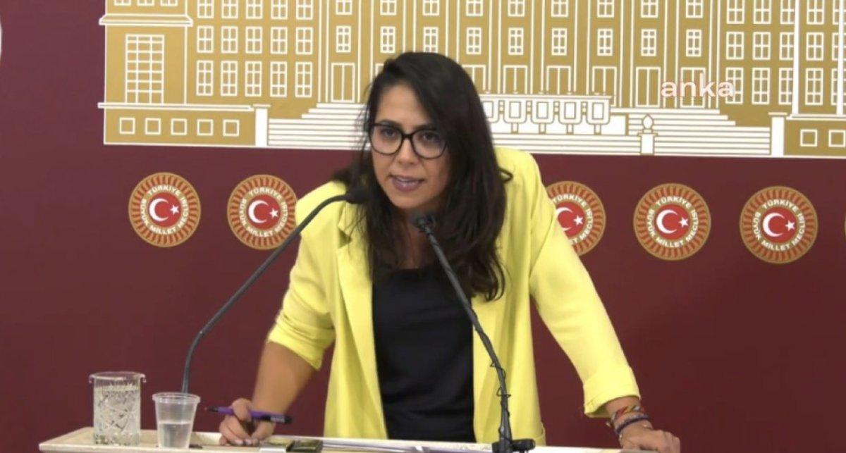 TİP'li vekil Sera Kadıgil'den Kılıçdaroğlu'na başörtüsü tepkisi
