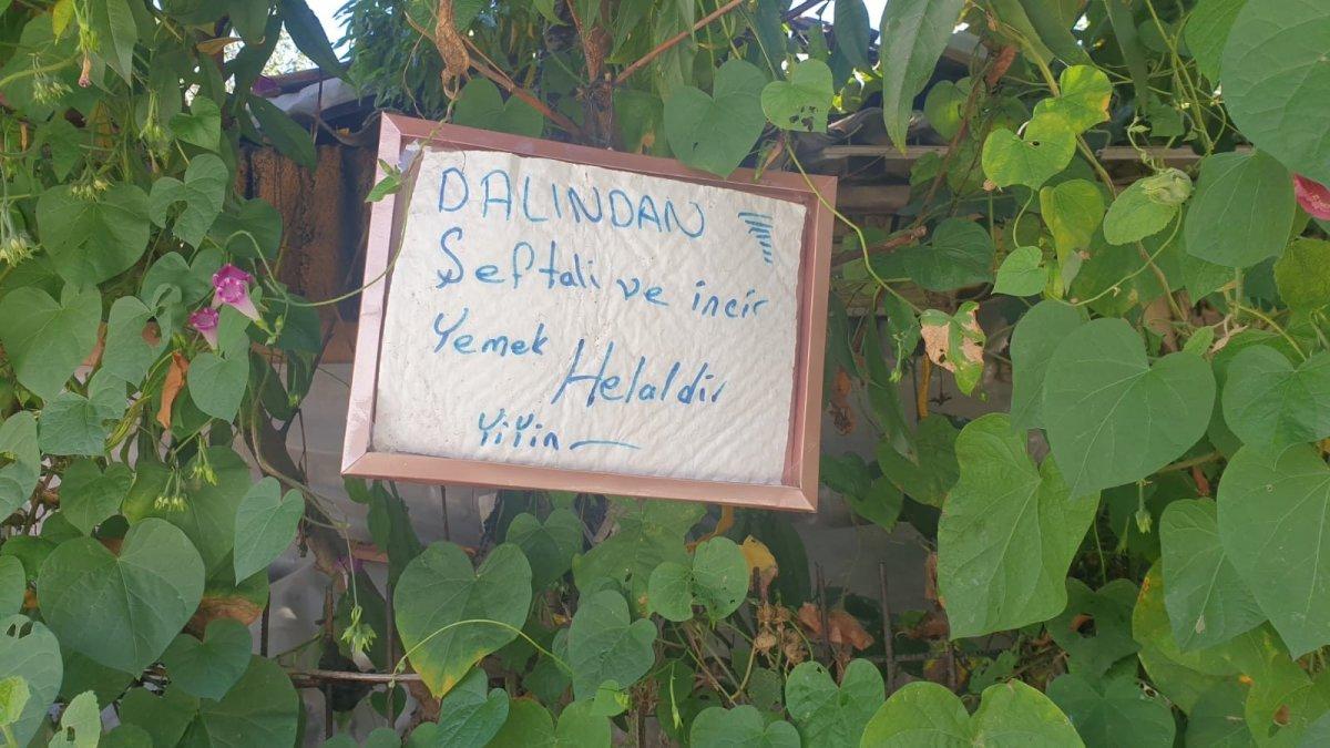Sakarya'da bahçesine 'helaldir yiyin' tabelası asan adam taktir topladı