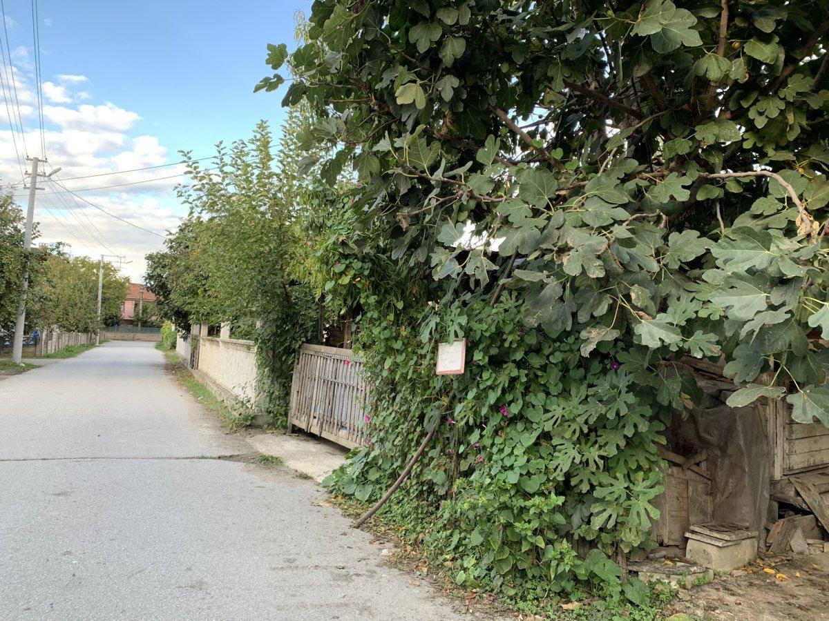 Sakarya'da bahçesine 'helaldir yiyin' tabelası asan adam taktir topladı