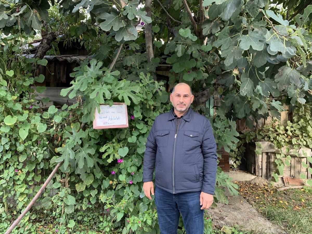 Sakarya'da bahçesine 'helaldir yiyin' tabelası asan adam taktir topladı