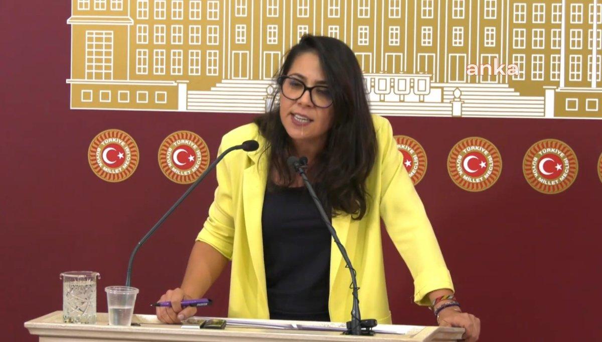 TİP'li vekil Sera Kadıgil'den Kılıçdaroğlu'na başörtüsü tepkisi