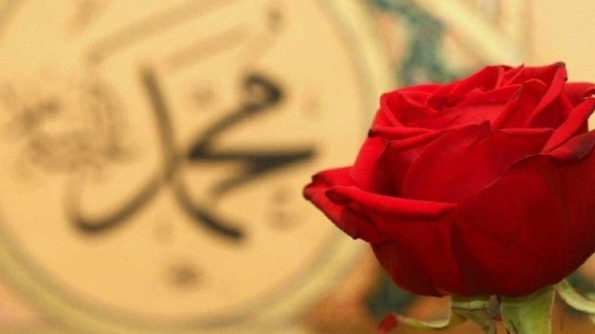 Âlemler Nûra gark oldu Muhammed doğduğu gece