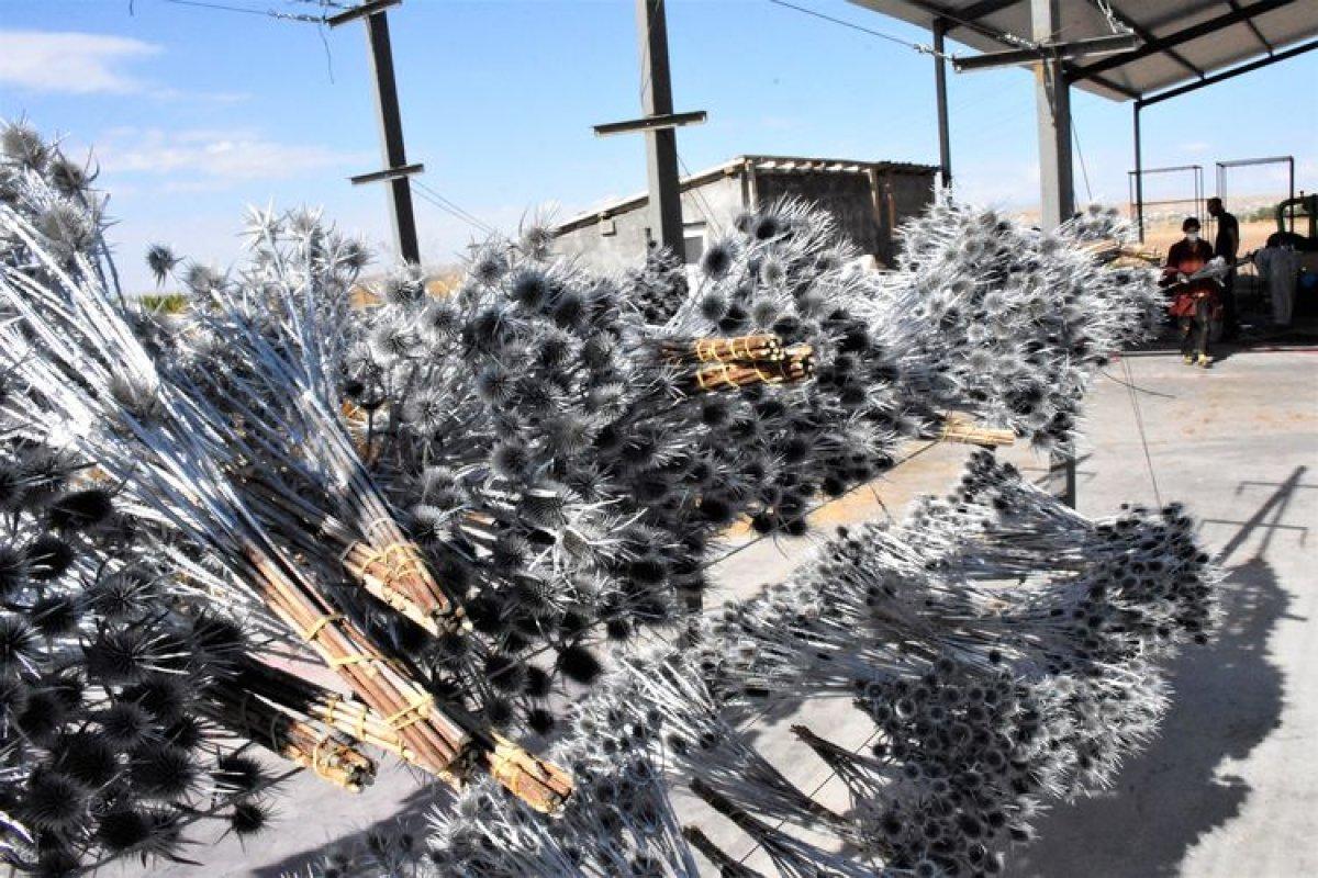 Aksaray'da yaptıkları süs çiçekleriyle üniversite harçlıklarını çıkarıyorlar