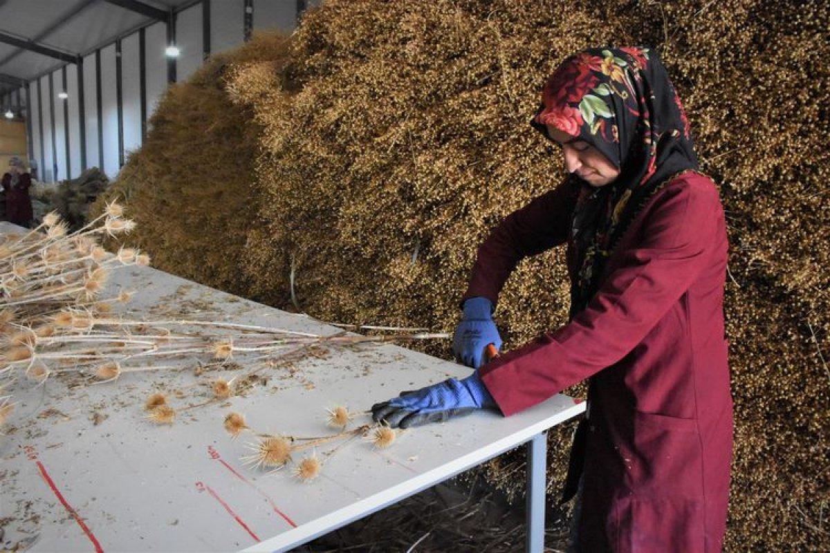 Aksaray'da yaptıkları süs çiçekleriyle üniversite harçlıklarını çıkarıyorlar