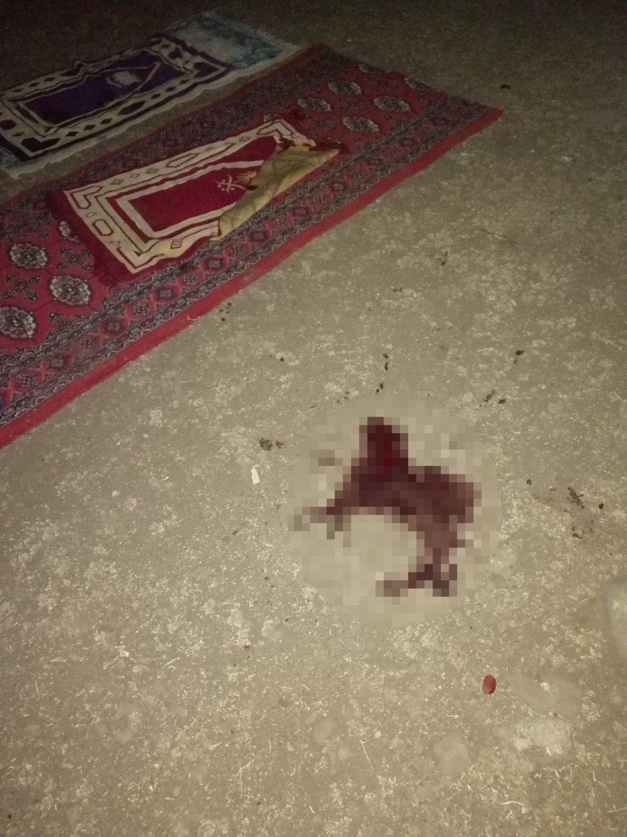 Diyarbakır'da vicdansız kayınpeder, damadını namaz kılarken vurdu