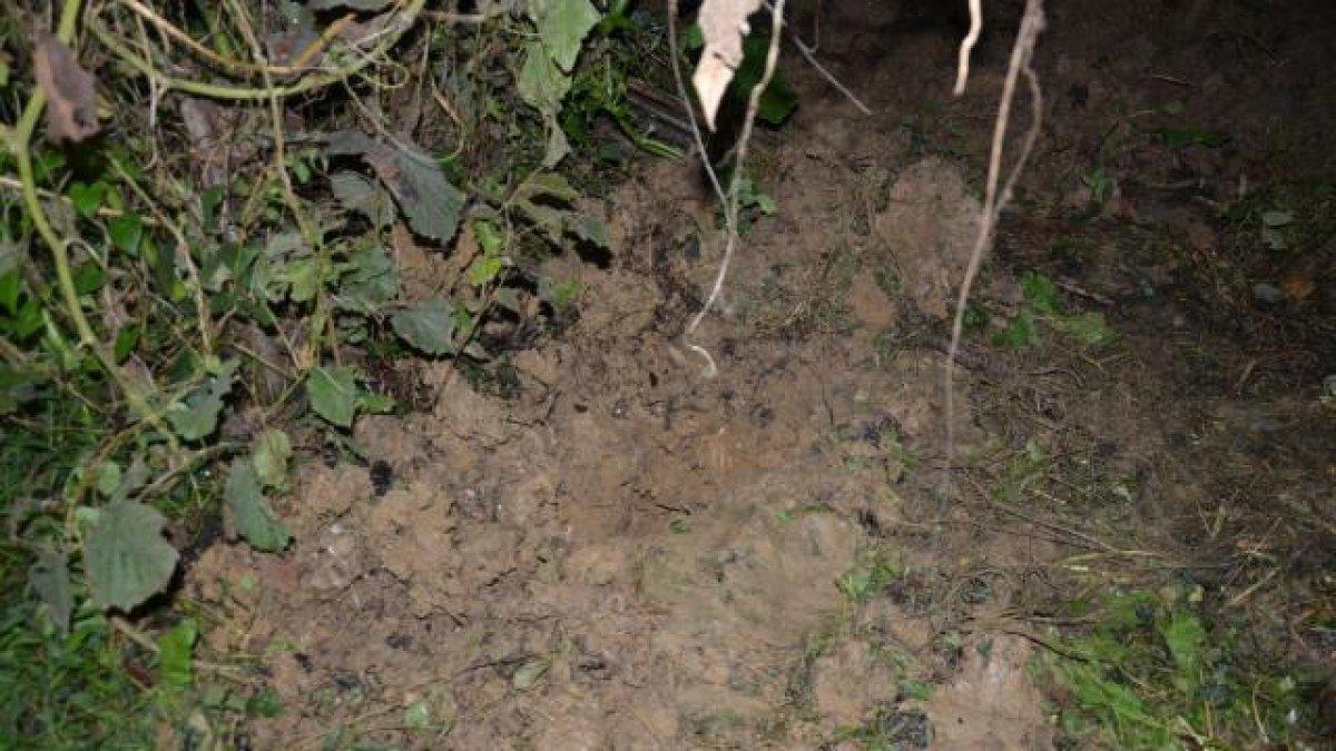 Ordu'da anne, bebeğinin cesedini 23 gün sakladığını itiraf etti