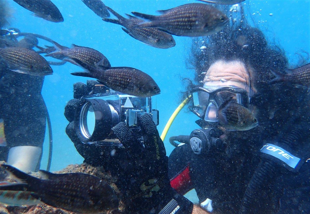 Mersin'de zehirli kedi balığı ilk defa görüldü