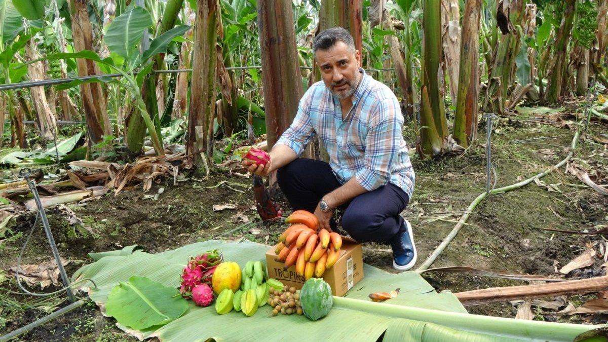 Kırmızı muzun Manavgat’ta ilk hasadı yapıldı