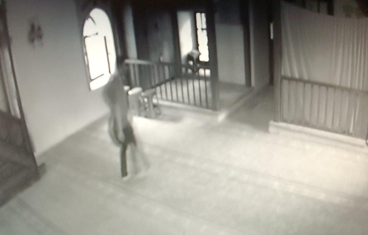 Bursa’daki bir camiye dadanan hırsızlar cemaati bezdirdi