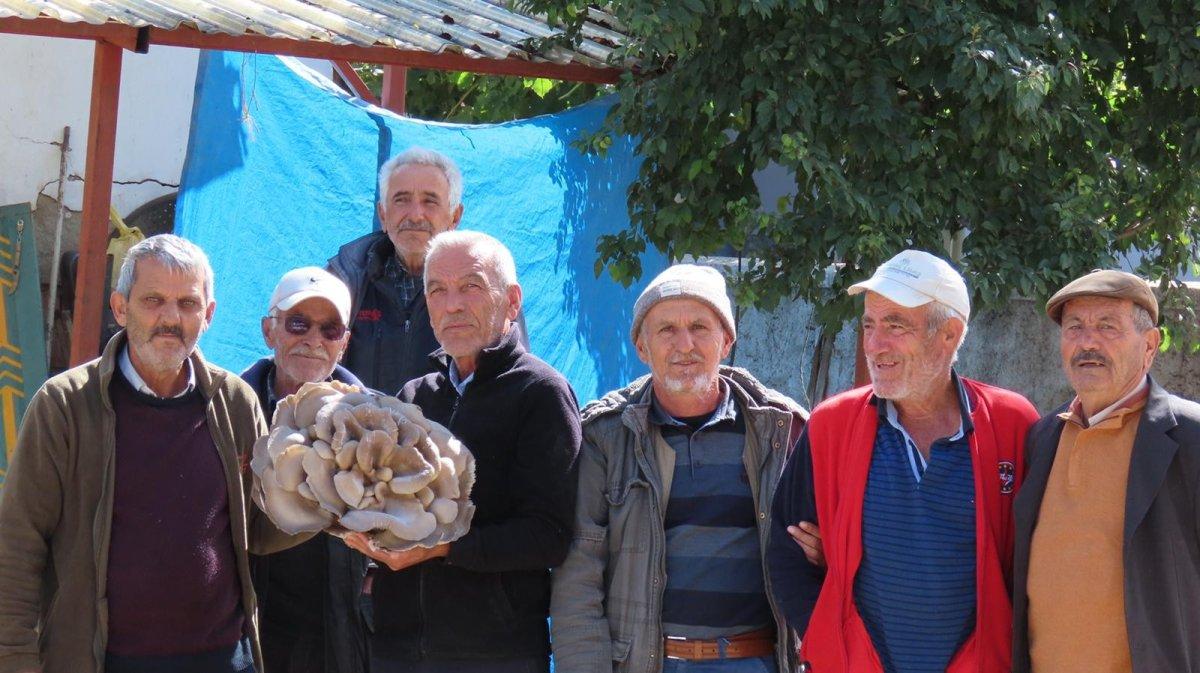 Konya'da bulunan dev mantar köylünün ilgi odağı oldu