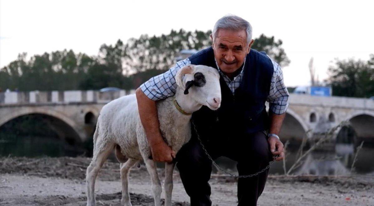 Edirneli çift, 3 günlükken buldukları kuzuyu 8 aydır yanlarından ayırmıyor