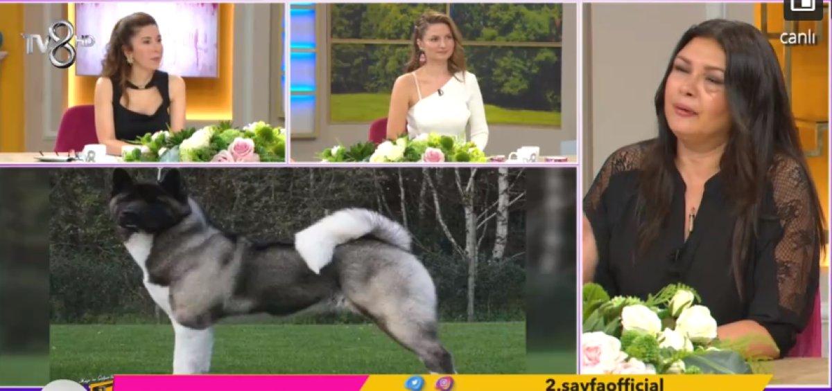 Tuğba Altıntop, köpek saldırısını anlattı