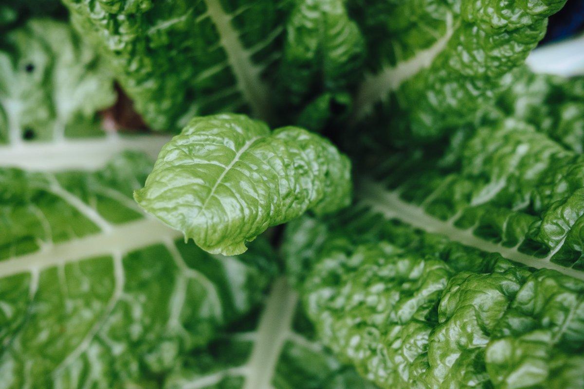 Saç dökülmesini durdurmaya yardımcı olan 6 besin