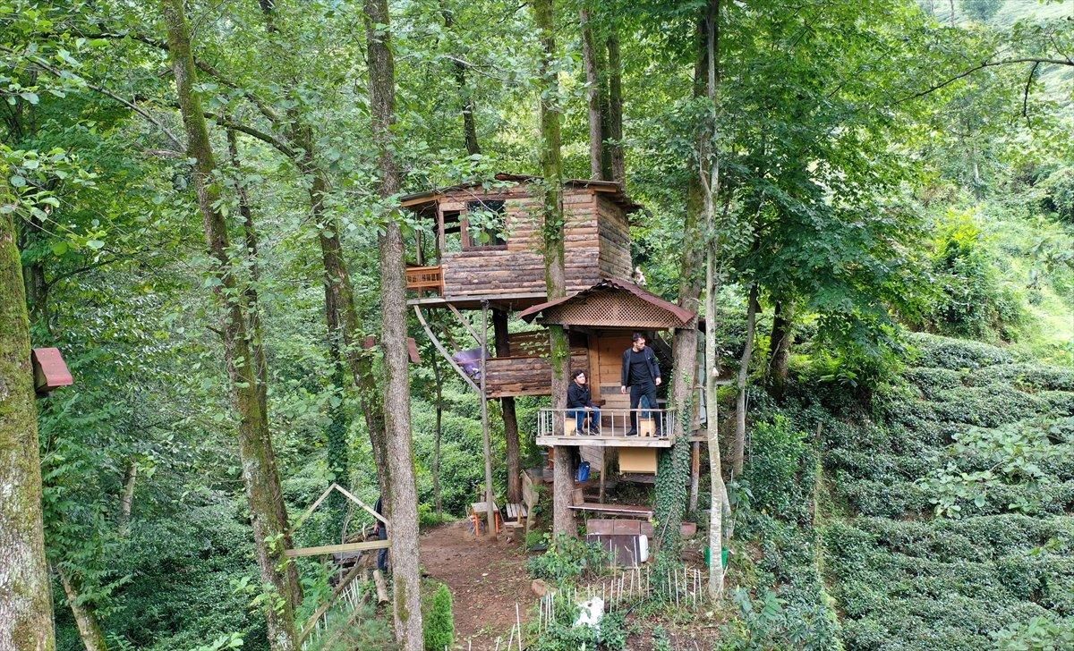 Rize'de ağaç gövdeleri arasına ahşap evler yaptı