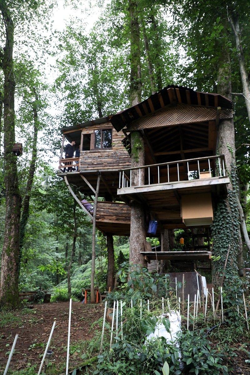 Rize'de ağaç gövdeleri arasına ahşap evler yaptı