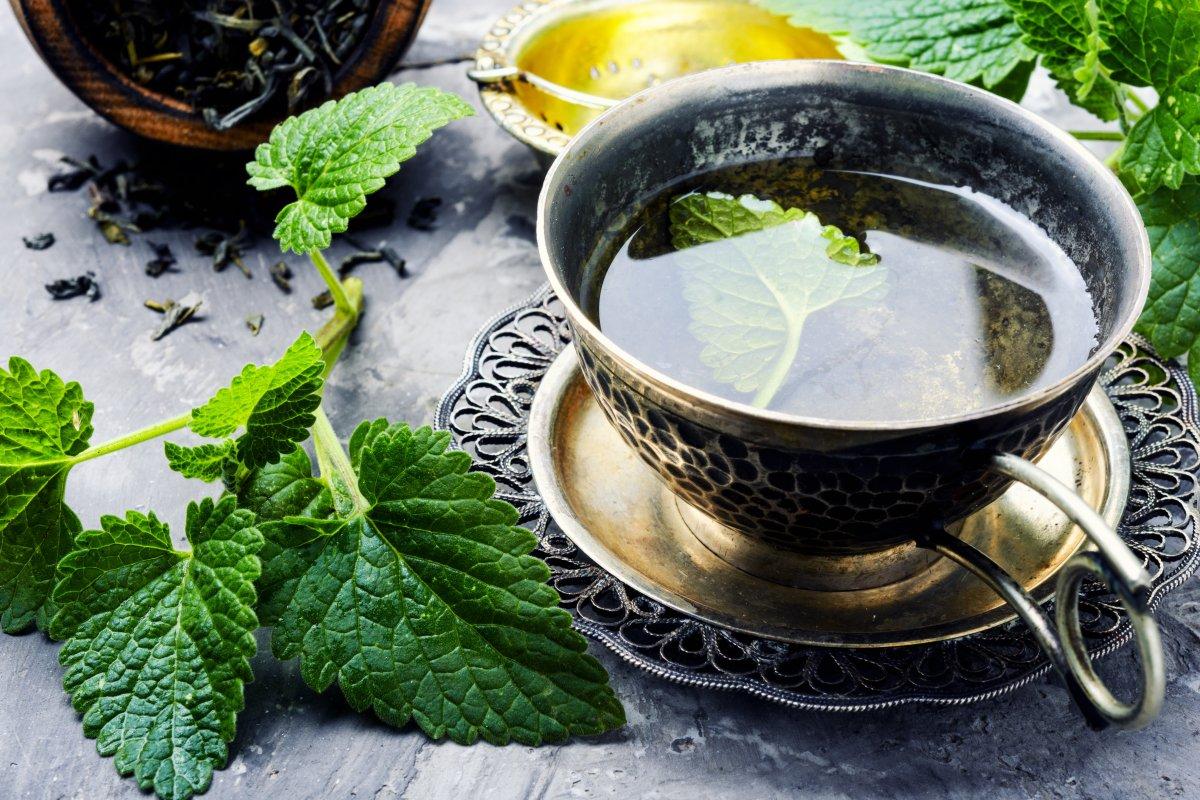 Bilmeniz ve kullanmanız gereken 8 şifalı bitki