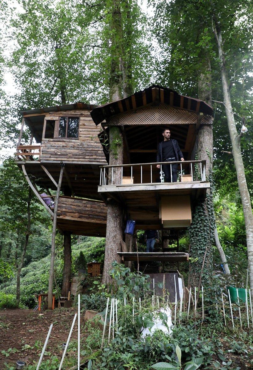 Rize'de ağaç gövdeleri arasına ahşap evler yaptı