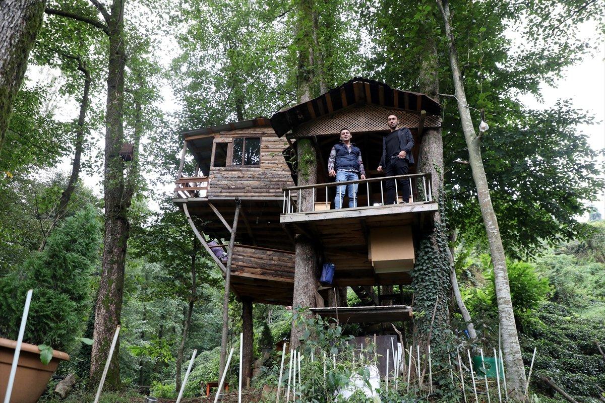 Rize'de ağaç gövdeleri arasına ahşap evler yaptı