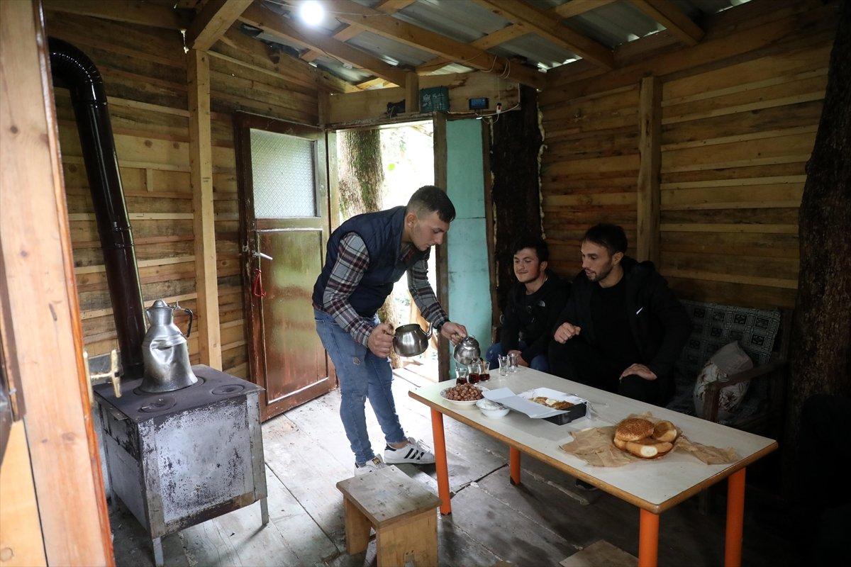 Rize'de ağaç gövdeleri arasına ahşap evler yaptı