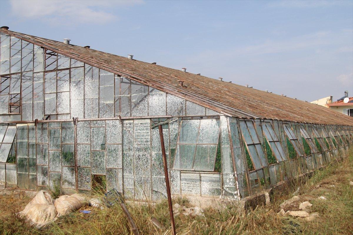 Antalya'da etkili olan fırtına seralara zarar verdi