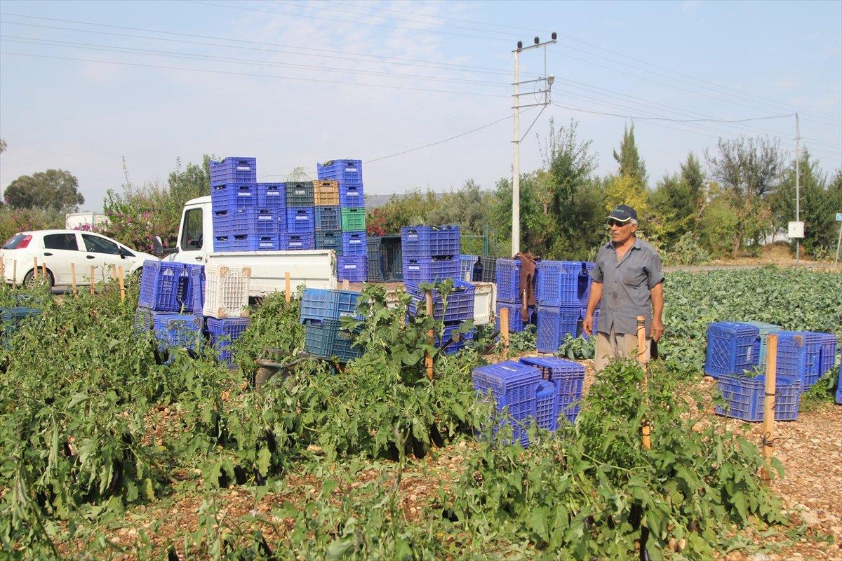 Antalya'da etkili olan fırtına seralara zarar verdi