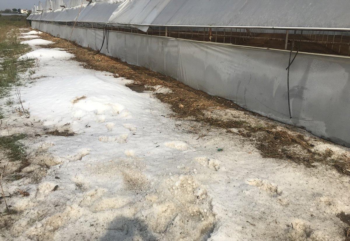 Antalya'da etkili olan fırtına seralara zarar verdi