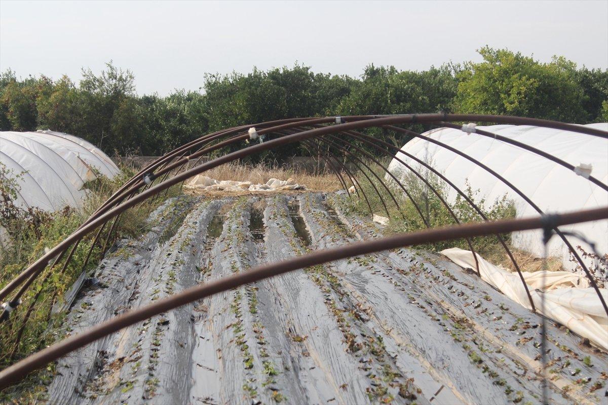 Antalya'da etkili olan fırtına seralara zarar verdi