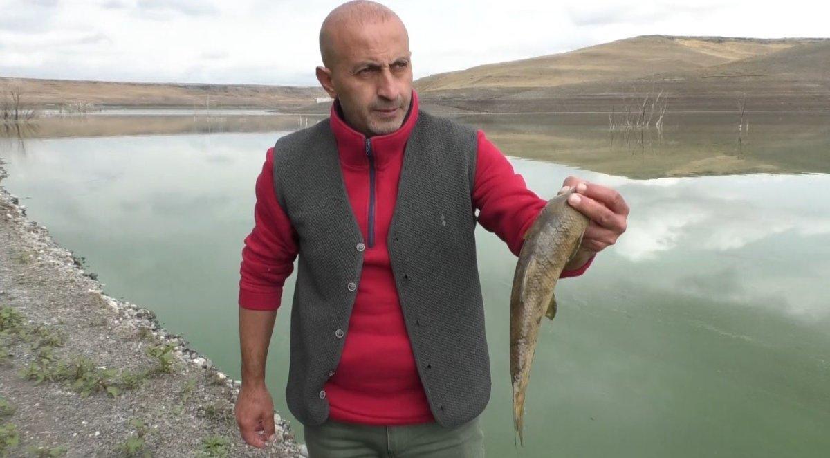 Kars Baraj Gölü yeşile büründü, etrafa pis kokular yayıldı