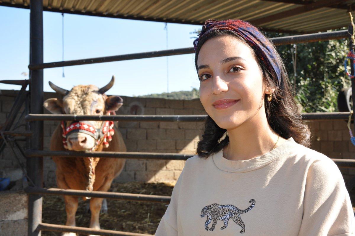 Muğla'da genç kızın boğa sevgisi şaşırtıyor