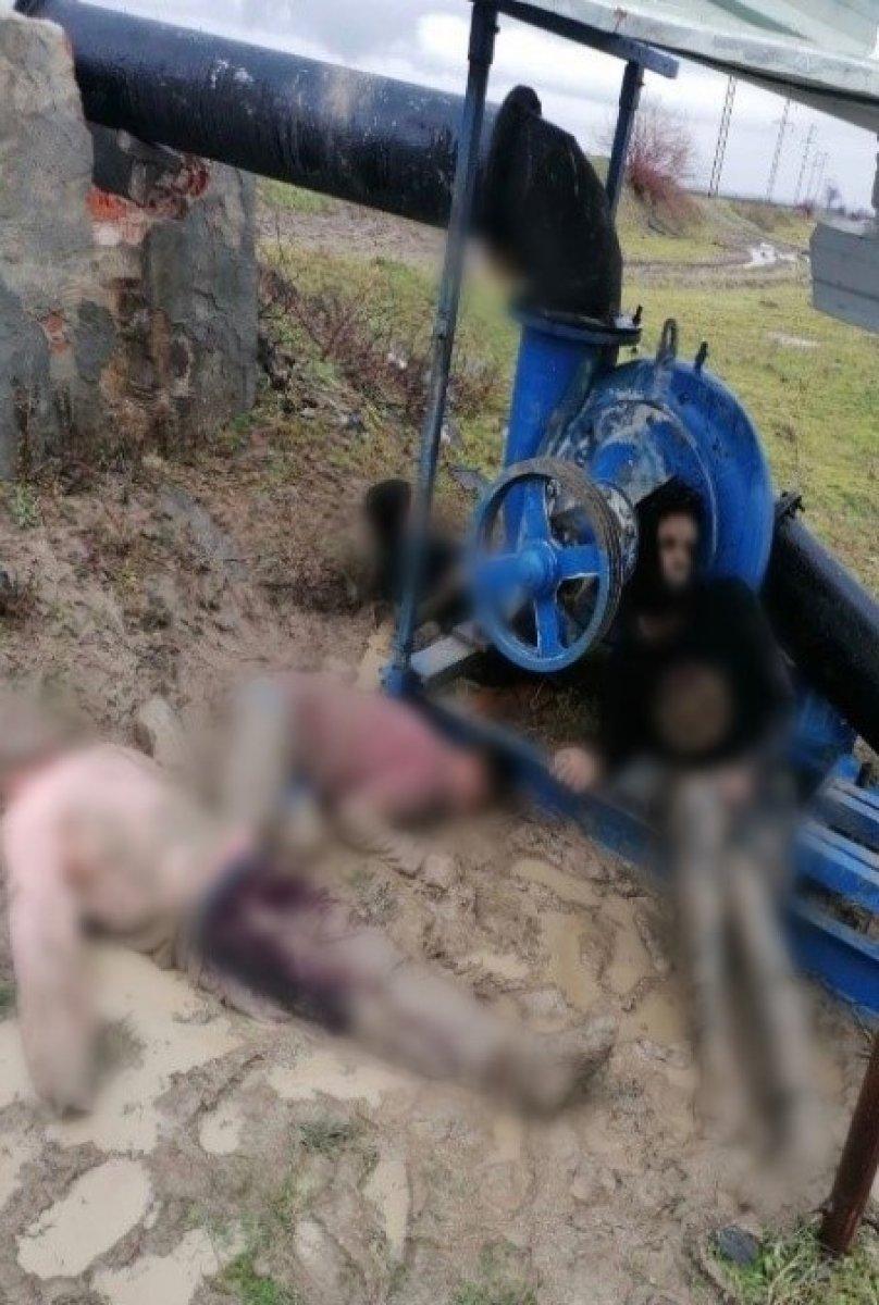 İçişleri Bakanlığı, Yunanistan'ın Türkiye'ye geri ittiği göçmen sayısını açıkladı