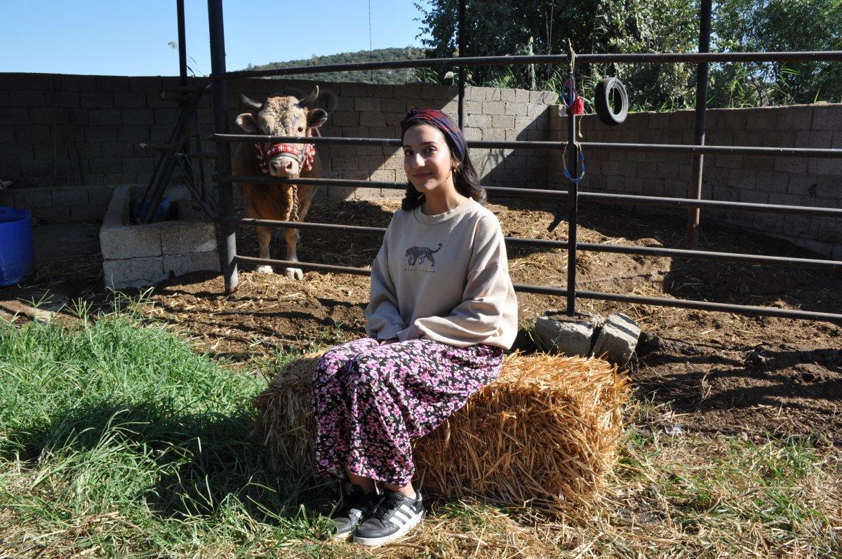 Muğla'da genç kızın boğa sevgisi şaşırtıyor