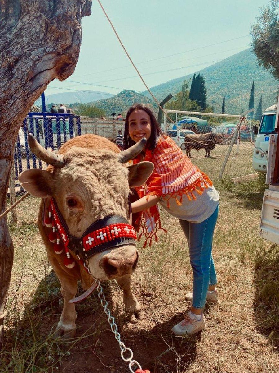 Muğla'da genç kızın boğa sevgisi şaşırtıyor
