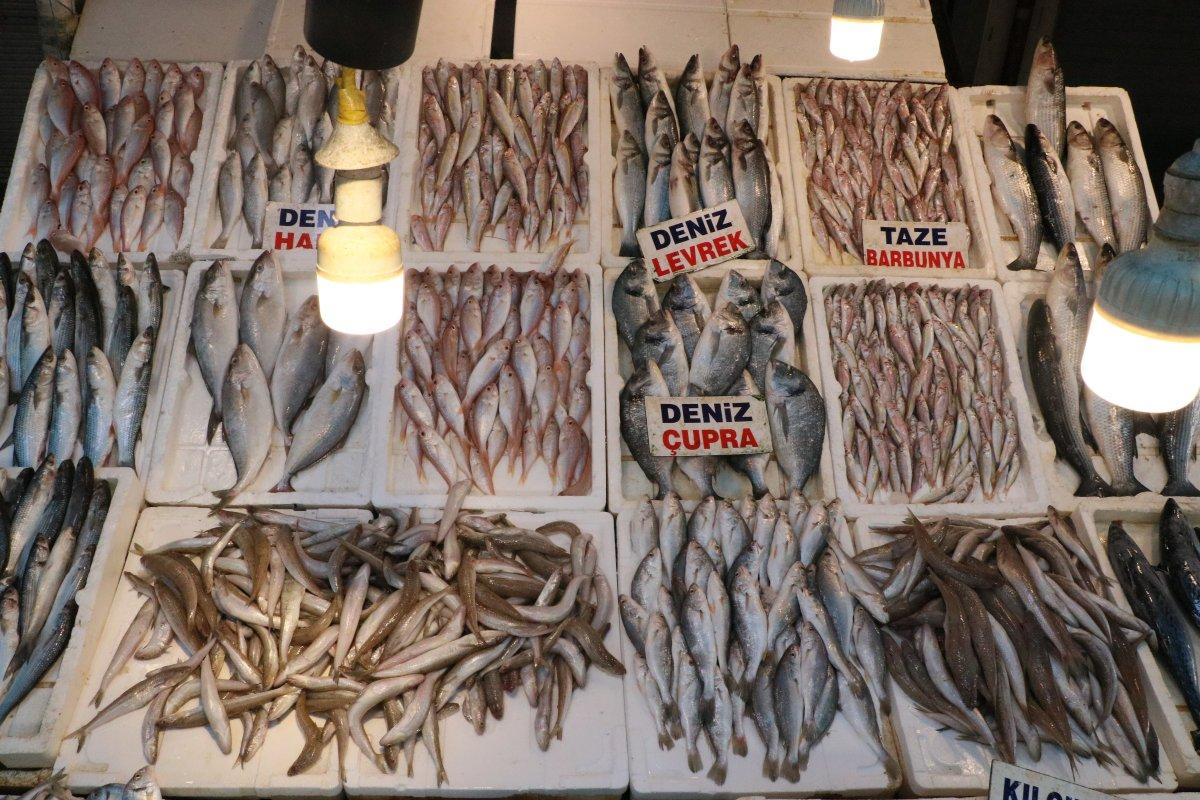 Mersin'de balık fiyatları düştü: İlk 3 aya dikkat
