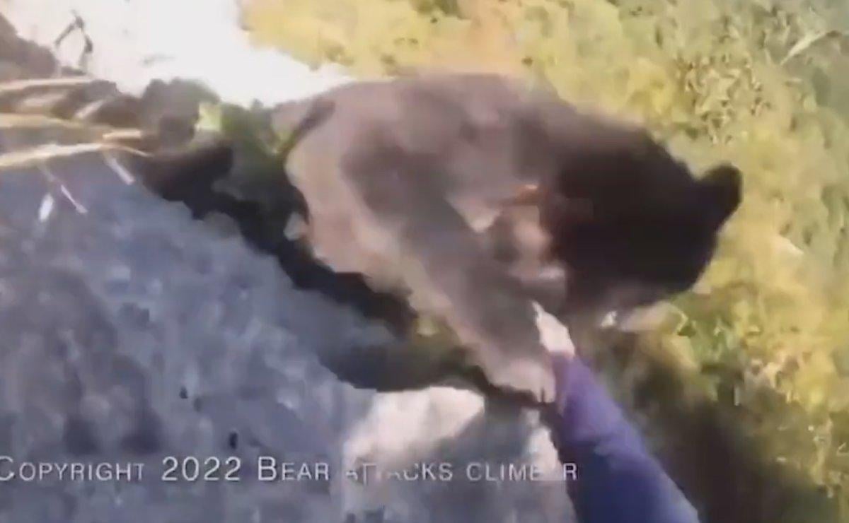 Japonya’da dağcı, karşılaştığı ayıyı tekme tokat dövdü