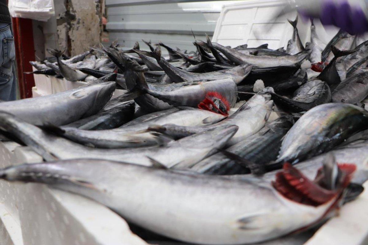 Samsunlu vatandaşlar palamutları stokluyor