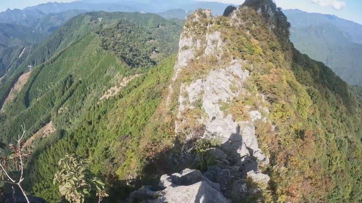 Japonya’da dağcı, karşılaştığı ayıyı tekme tokat dövdü