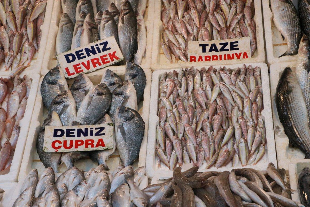 Mersin'de balık fiyatları düştü: İlk 3 aya dikkat