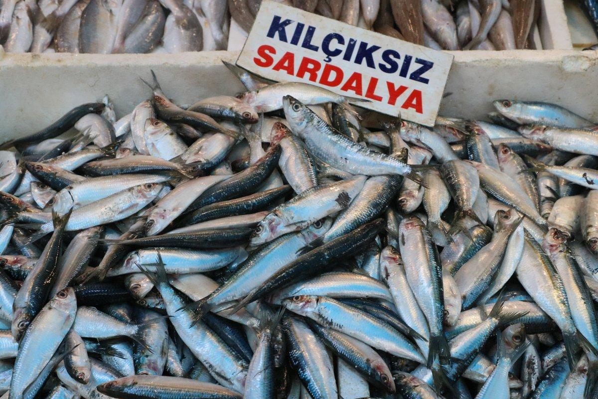 Mersin'de balık fiyatları düştü: İlk 3 aya dikkat