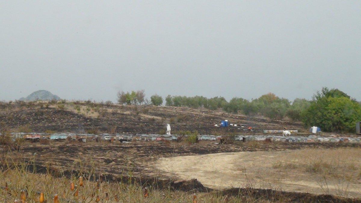 Antalya'da, yangının ortasında kalan arı kovanları küle döndü