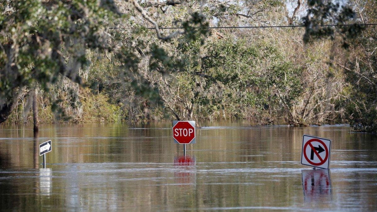 ABD'de et yiyen bakteri sebebiyle 65 vakadan 11'i öldü